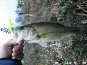 �֥�å��Х�