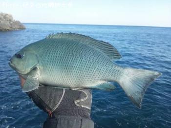 �����᥸��