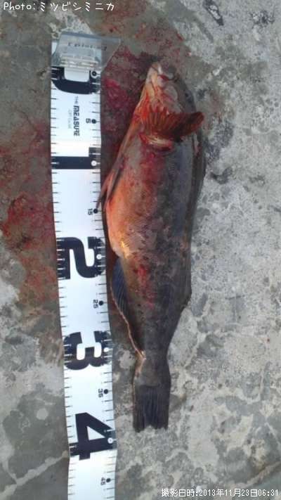 �����ʥ�