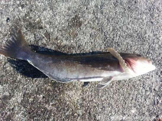 �����ʥ�