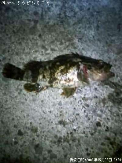 �����Υ���Х�