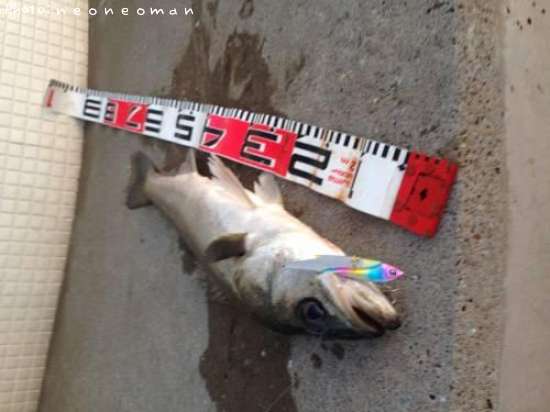 �����Х�