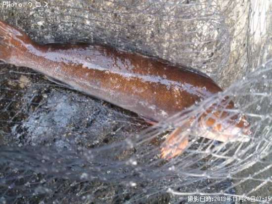 �����ʥ�