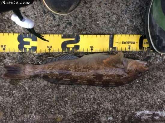 �����ʥ�