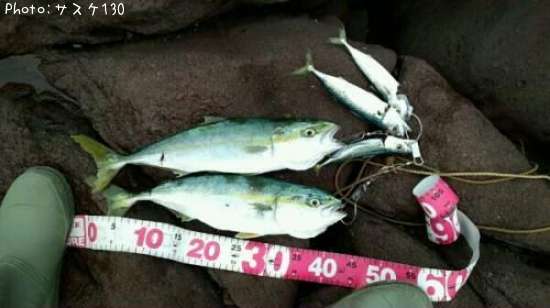 ���ʥ���