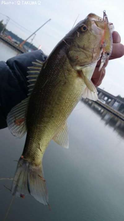 �֥�å��Х�