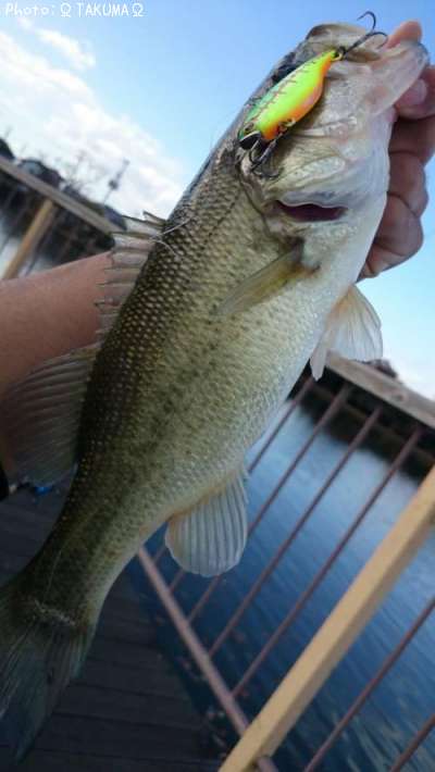 �֥�å��Х�