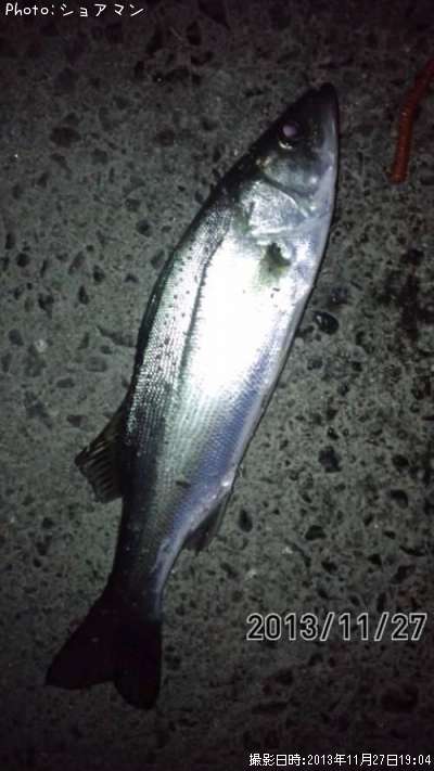 �����Х�