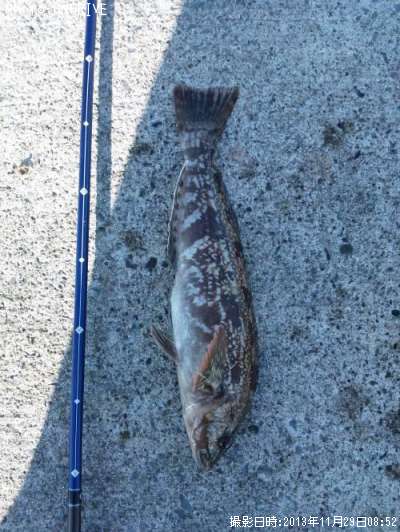 �����ʥ�