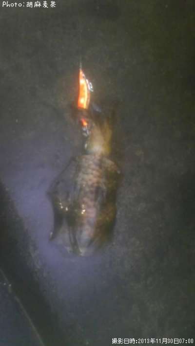 �����ꥤ��