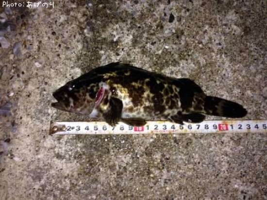 �����Υ���Х�