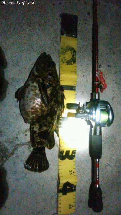 �����Υ���Х�