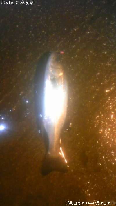 �����Х�