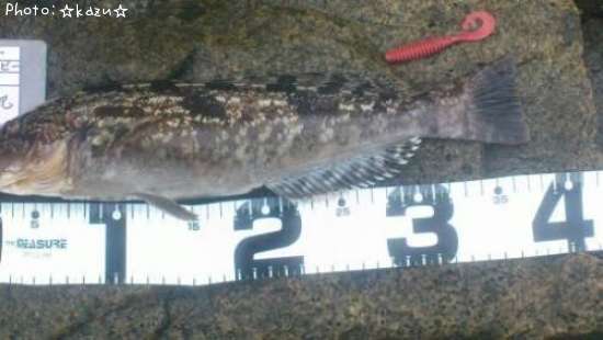 �����ʥ�