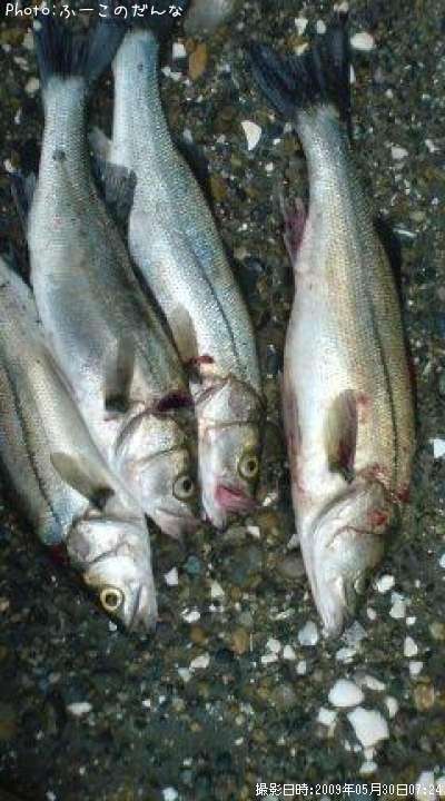 �����Х�