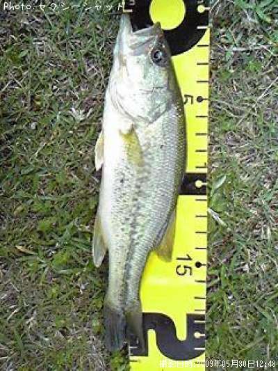 �֥�å��Х�