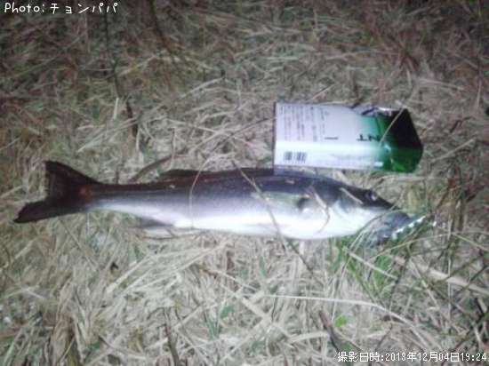 �����Х����ߥ�