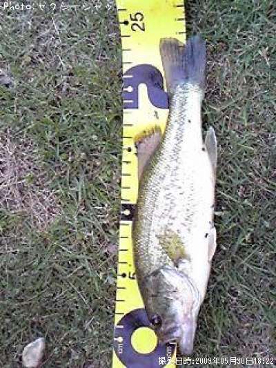 �֥�å��Х�