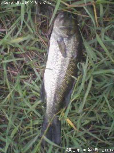 �֥�å��Х�