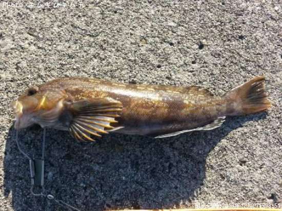 �����ʥ�