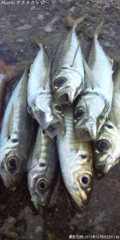 ���������Ƶ�����