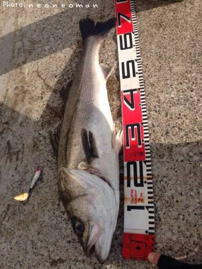 �����Х�