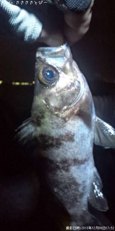 ��Х�������Х�