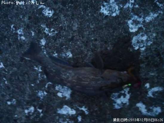 �����ʥ�