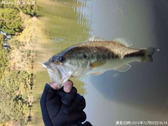 �顼���ޥ����Х�