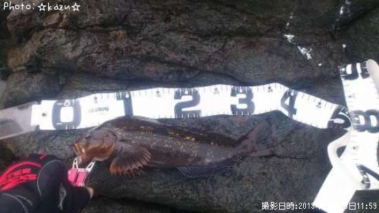 �����ʥ�