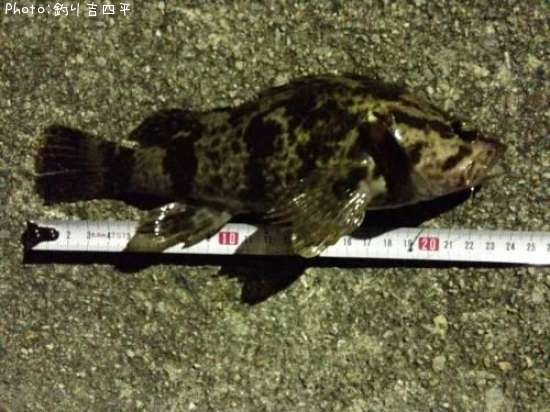 �����Υ���Х�