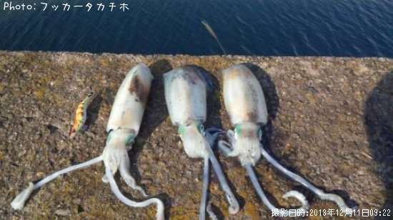 �����ꥤ��