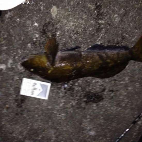 �����ʥ�