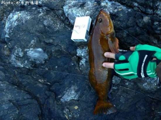 �����ʥ�