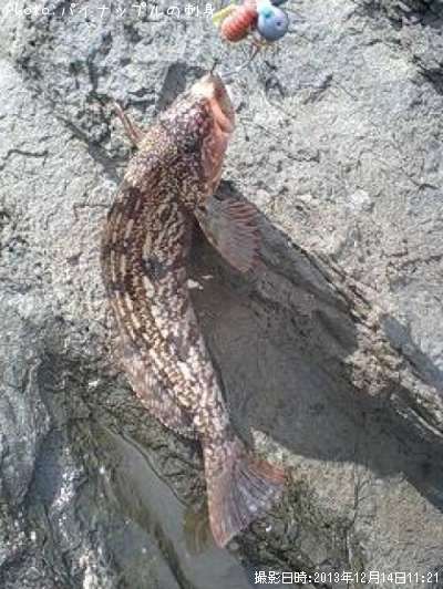 �����ʥ�