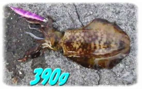 �����ꥤ��