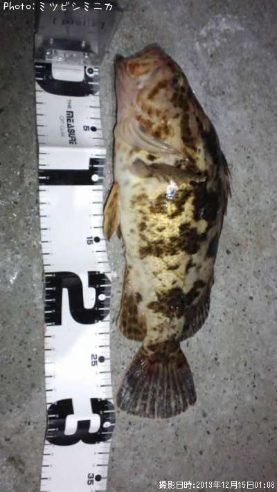 �����Υ���Х�