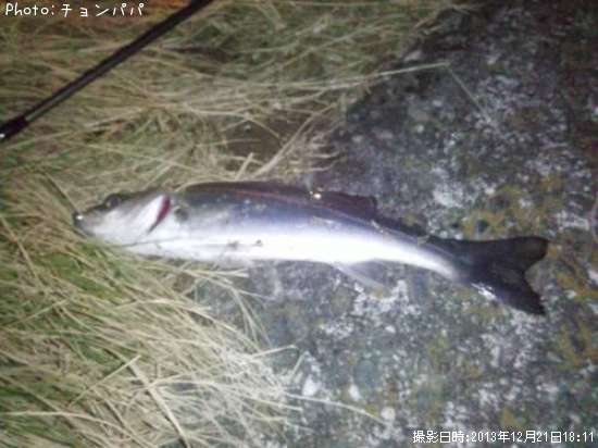 �����Х��ʥ����Х���