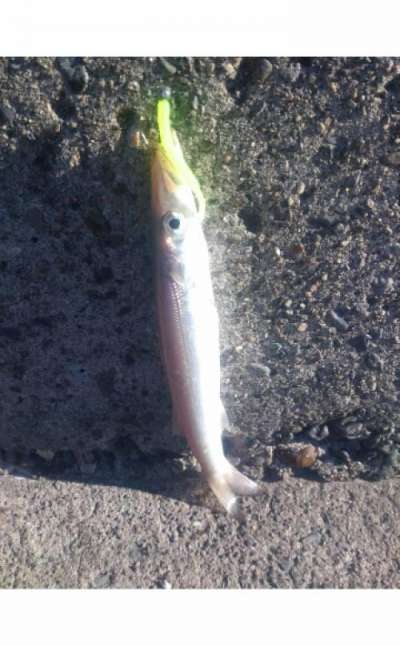 �������ޥ�