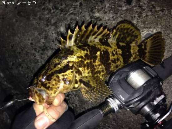 �����Υ���Х�