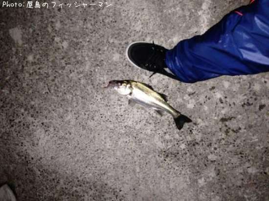 �����Х�