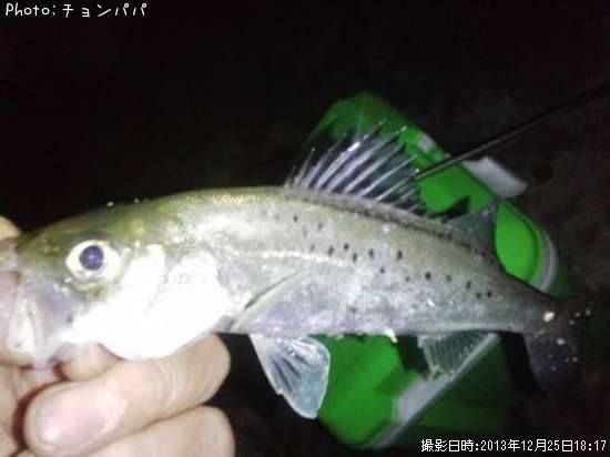 �����Х����ߥ�