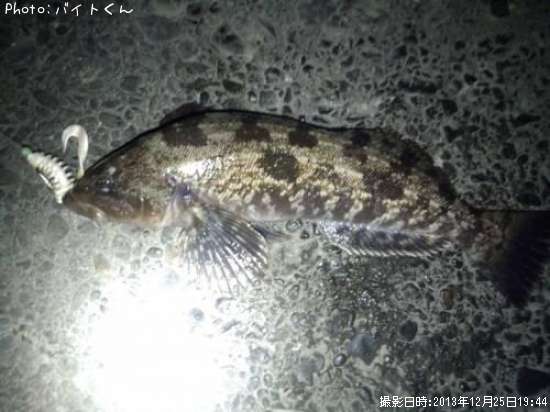 �����ʥ�