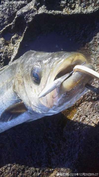 �����Х�