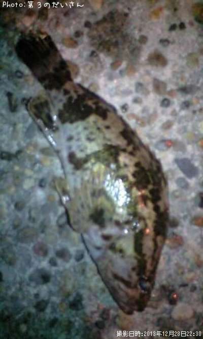 �����Υ���Х�