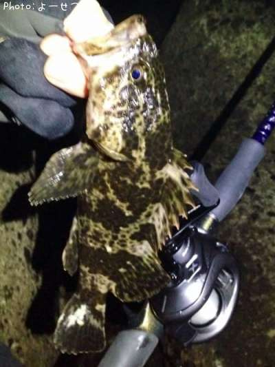 �����Υ���Х�