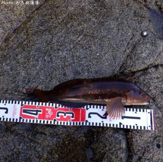 �����ʥ�