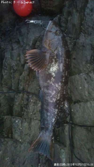 �����ʥ�