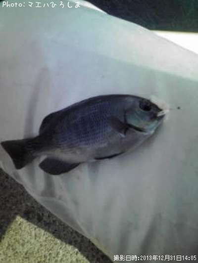 ���ӥ᥸��