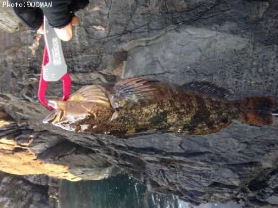 �����ʥ�